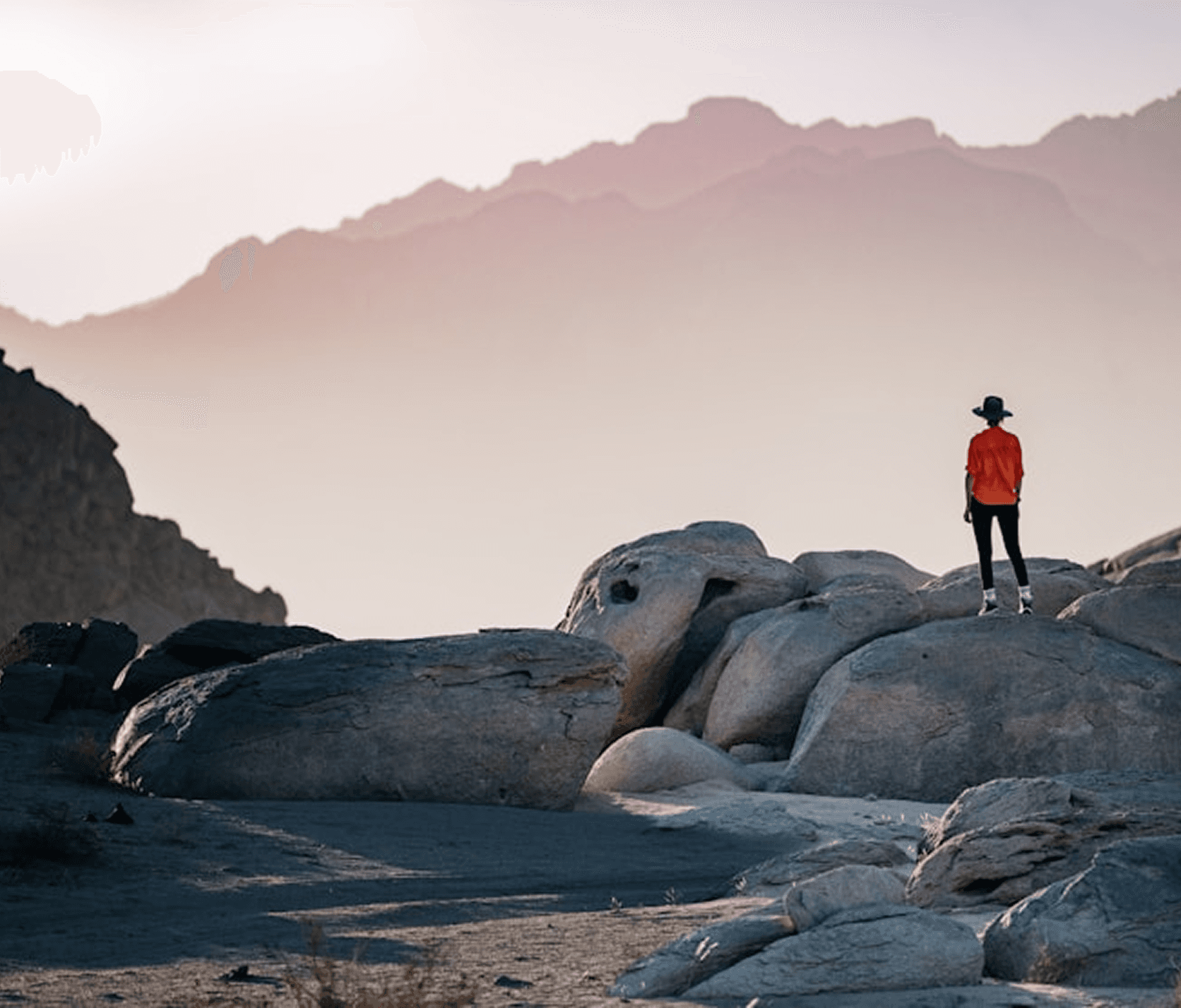 A Day in the Life of a Safari Explorer Experiencing Africa's Untamed Beauty