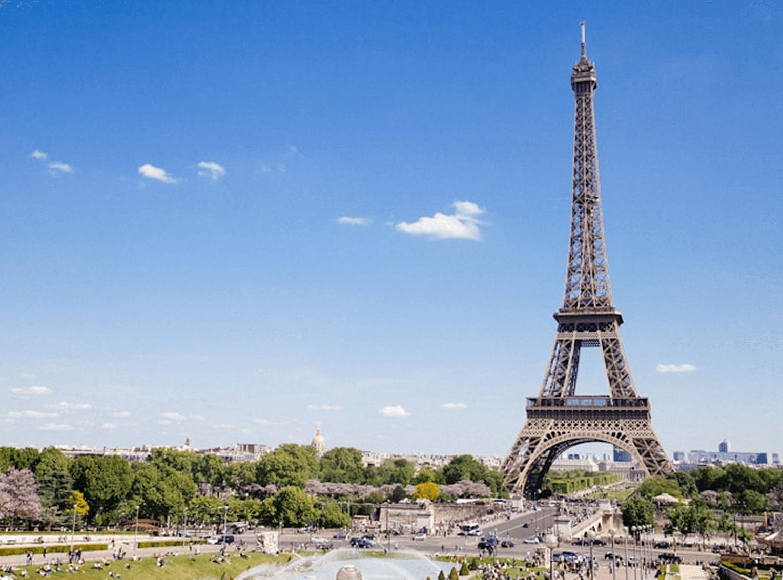 Seine River Cruises