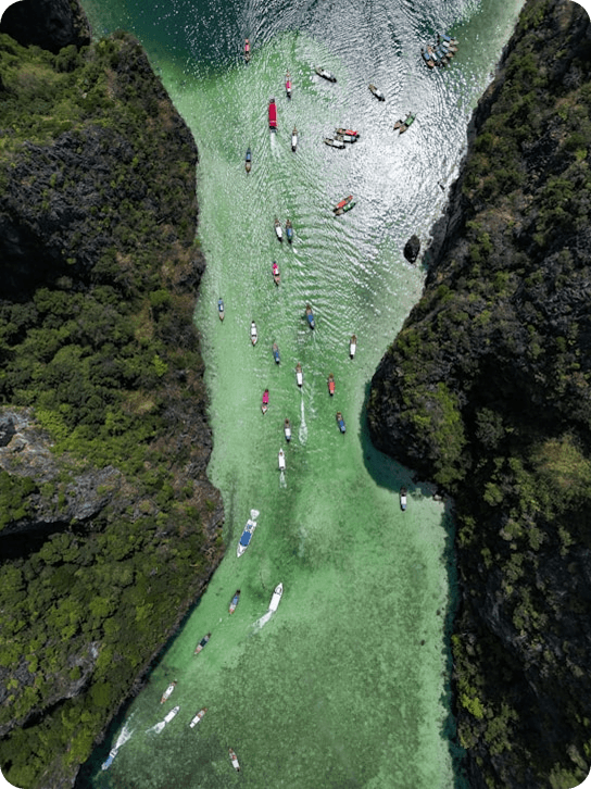Person on suspension bridge